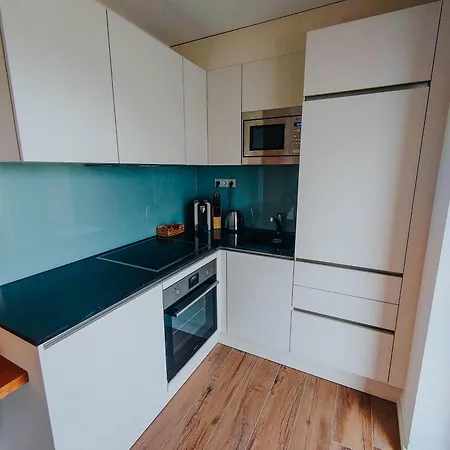Gemini By Salzkammergood Living Apartman Tauplitz